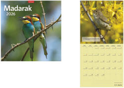 TopTimer Falinaptár 29x29 cm Madarak 2026 (26T980018A)