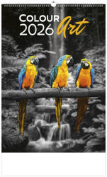 TopTimer Falinaptár 32x45 cm Colour Art 2026 (26T920012A)