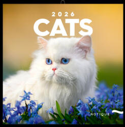 Notique Realsystem Lemeznaptár 16 Hónapos Cicák 2026 (RS6097CA)