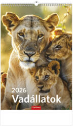 TopTimer Falinaptár 22x32 cm Vadállatok 2026 (26T940008A)