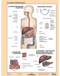 STIEFEL Tanulói munkalap, A4, STIEFEL "Az emésztőrendszer (VTM59) - fiorex