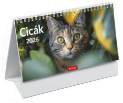 TopTimer Naptár, asztali, álló, TOPTIMER, Cicák (27T585P-00P) - molnarpapir