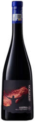 Crama Histria Histria - Ammos Rosu (FN + CS) 2020 - 0.75L, Alc: 14.9%