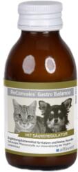 ALFAVET Supliment pentru caini si pisici ReConvalesGASTRO BALANCE, Pachet 3 X 90 ml