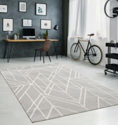  Modern szőnyeg Pastel 28607 (Gray) 200x280cm Szürke