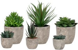 House Nordic Spello művövény szett, 150 darabos, 60 db 9 cm és 90 db 6 cm méretű (9501510) - homelux