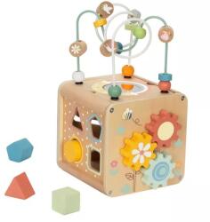 Tooky toy Tooy Toys: Cub educativ din lemn (TP382)