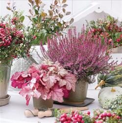  Szalvéta 33x33cm 20db/csomag Heather Terrace, Virágos Terasz