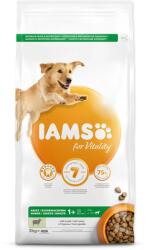 Iams kutyatáp felnőtt nagytestűeknek bárány 3kg