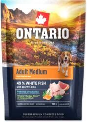 ONTARIO Adult Medium Fish & Brown Rice 0, 1kg