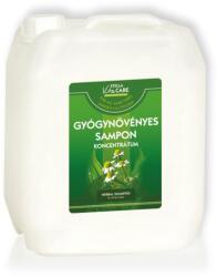 Stella Vitacare Gyógynövény + Aloe sampon koncentrátum, 5 l - hairpower