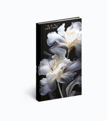 Realsystem Zsebnaptár Álló Picture Írisz 2026 (RS581160)