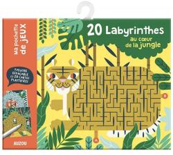 AUZOU Foglalkoztató lapok - Letörölhető fejtörők - Labirintusok (AUZOU216)