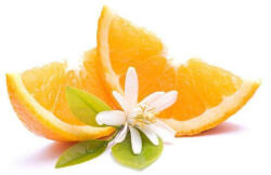  Narancsvirág illóolaj Gladoil / Fleurita illat illatkeverék illó olaj 10 ml