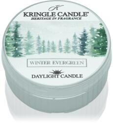 Kringle Candle Winter Evergreen teamécses 42 g