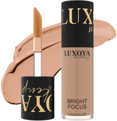 Luxoya Bright Focus korrektor #01