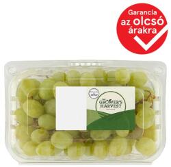 TESCO The Grower's Harvest magszegény fehér szőlő 500 g