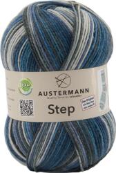 Austermann Step 4 Color 274 Kötőfonal (97689-274)