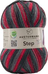 Austermann Step 4 Color 18 Kötőfonal (97689-18)