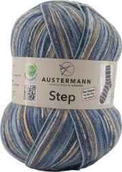 Austermann Step 4 Color 88 Kötőfonal (97689-88)