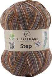 Austermann Step 4 Color 86 Kötőfonal (97689-86)