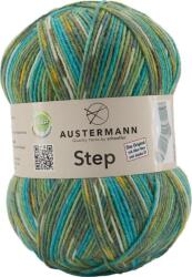 Austermann Step 4 Color 265 Kötőfonal (97689-265)