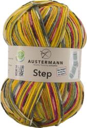 Austermann Step 4 Color 259 Kötőfonal (97689-259)