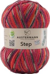 Austermann Step 4 Color 256 Kötőfonal (97689-256)
