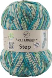 Austermann Step 4 Color 340 Kötőfonal (97689-340)