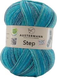 Austermann Step 4 Color 359 Kötőfonal (97689-359)
