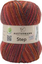 Austermann Step 4 Color 134 Kötőfonal (97689-134)