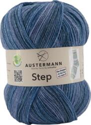Austermann Step 4 Color 16 Kötőfonal (97689-16)