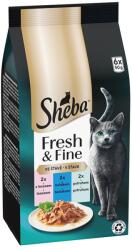 Sheba Fresh & Fine csirke és lazac 6 x (6x50 g)