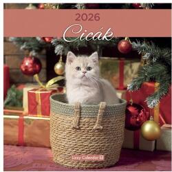 LIZZY CARD Falinaptár LIZZY CARD 300x600mm álló Cicák 2026. 21667 (21667)