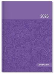 PÁTRIA Határidőnapló 2026 napi A/5 Period Intensive lakk papír lila