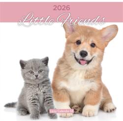 LIZZY Falinaptár 2026 Lizzy lemez 30x30cm Little Friends (21669)