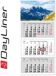 Dayliner Speditőr naptár 3 tömb, 3 hónap Medium Classic 350 × 755 mm, fehér lapokkal Hegy Dayliner 2026 - delfinbuvar