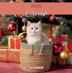 LIZZY Falinaptár 2026 Lizzy lemez 30x30cm Cicák