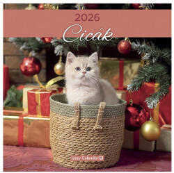 LIZZY CARD Falinaptár LIZZY CARD 300x600mm álló Cicák 2026 (21667) - papir-bolt