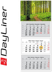 Dayliner Speditőr naptár 3 tömb, 3 hónap SP-30 330 × 760 mm, fehér lapokkal Erdő Dayliner 2026 - vegyesbolt