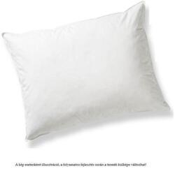 Billerbeck Clima Controll félpehely nagypárna II. osztály, 60x80 cm (1410)