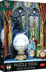 Trefl Premium Plus - Magic Collection - A varázsló tanítványa - Lisa Parker 1000 db-os (10898)