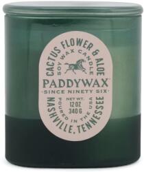 Paddywax Vista Cactus Flower & Aloe illatgyertya 340 g