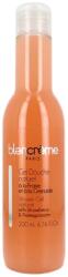 Blancrème Paris Gel de dus Capsuni si Rodie, 200ml, Blancreme Paris