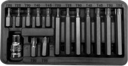 PROLINE 10745 Bitek, Bitek, 3/8 Hüvelykes Torx Security T20-T55, L=30/75 mm 15 Eleműek (10745) (10745)