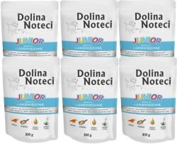 Dolina Noteci Dolina Noteci Premium Junior bárányhúsban gazdag 24x300g