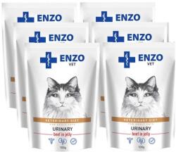  ENZO VET ENZO VET Urinary marhahússal zselében macskáknak 6x100g