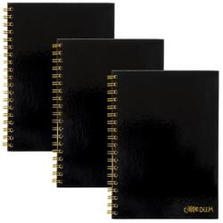 Pukka Pad Spirálfüzet, B5, vonalas, 80 lap, FSC, PUKKA PAD "Carpe Diem", fekete (PUP9375) - tintasziget