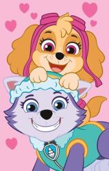  Paw Patrol polár takaró - Skye és Everest