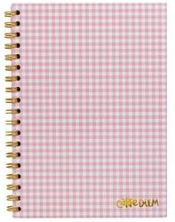 Pukka Pad Spirálfüzet, B5, vonalas, 80 lap, FSC, PUKKA PAD "Carpe Diem", rózsaszín kockás (PUP9377) - pritone